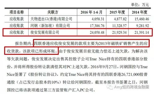 3層架構5倍杠桿,外轉內資繞開10號文,差異定價來避稅,跨境并購只服河北宣工