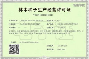 廣西打造24小時 不打烊 網上政府