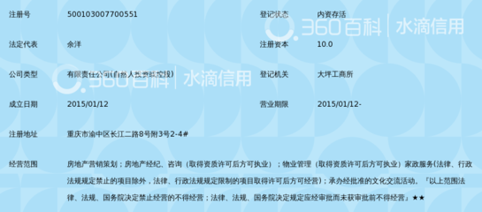 重慶領峰房地產營銷策劃